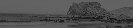 safsaf saf sa fsa fsa fsa f